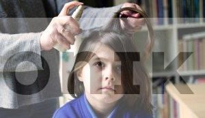 Ліки від вошей та корости: що ефективно, як правильно використовувати і коли звертатися до лікаря